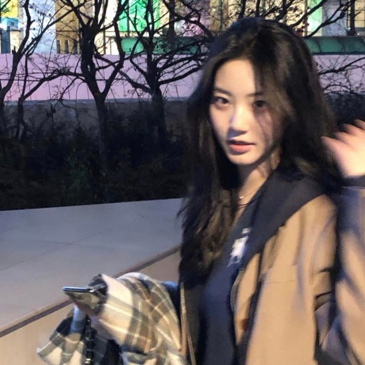 最后的杜安斯封面